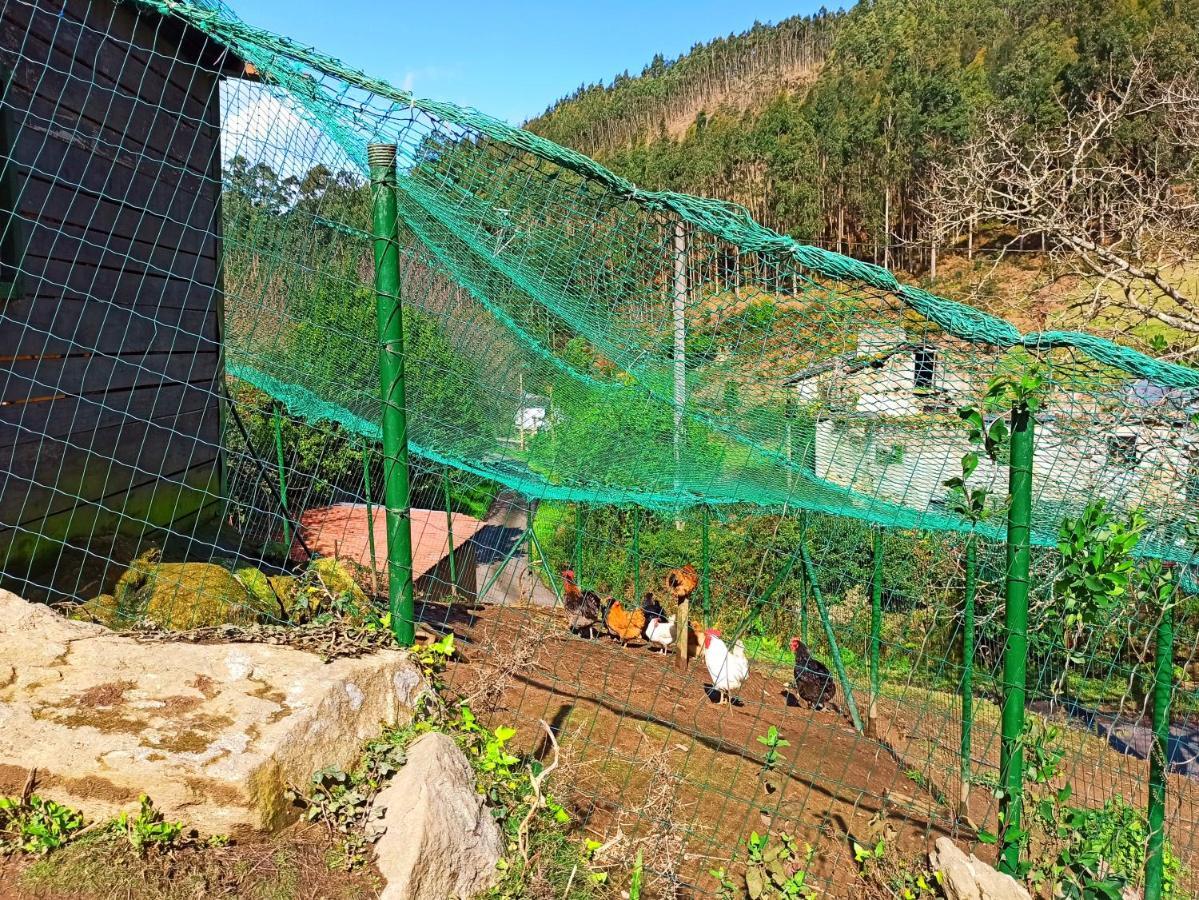 ビベイロ Casa Carmeloヴィラ エクステリア 写真